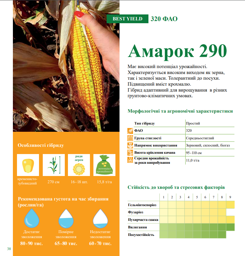 амарок 290