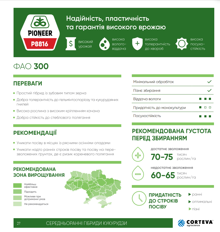 кукурудза р8816
