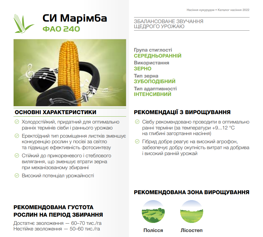 маримба кукуруза