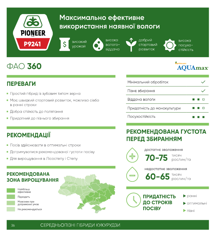 р9241