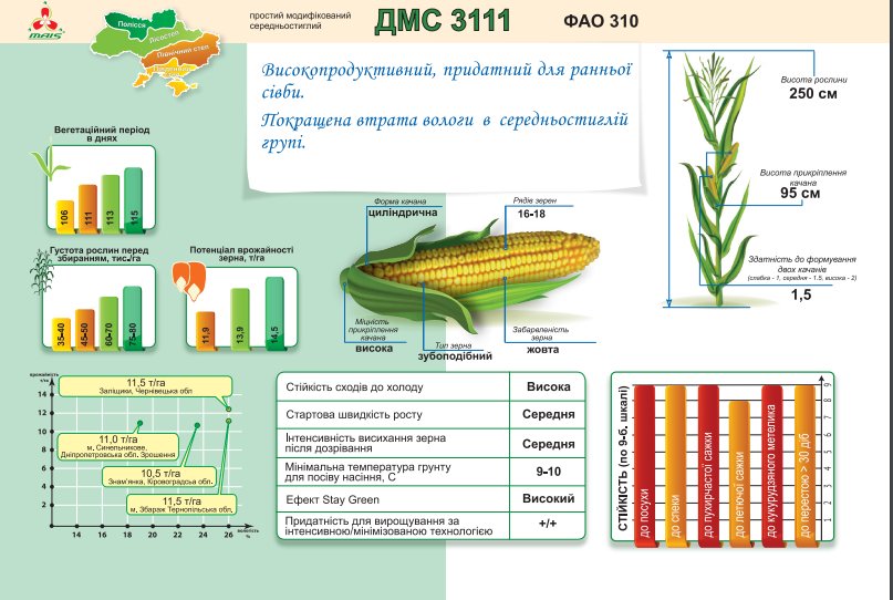 дмс 3111 семена маис кукуруза