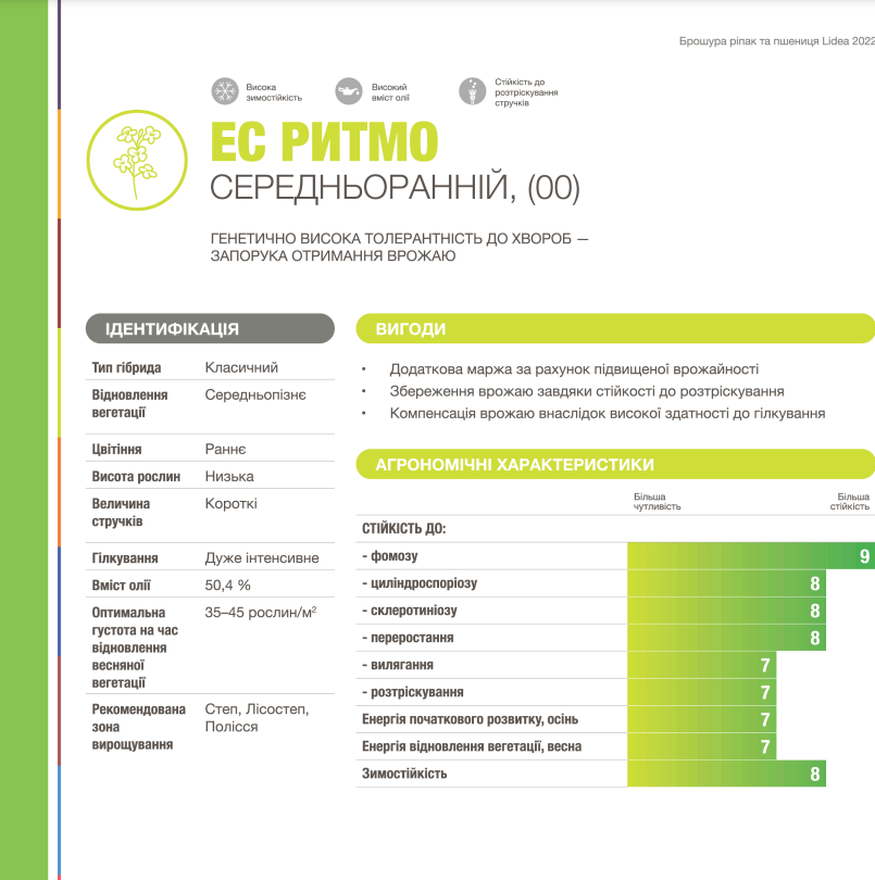 озимый рапс евралис ритмо оригинал