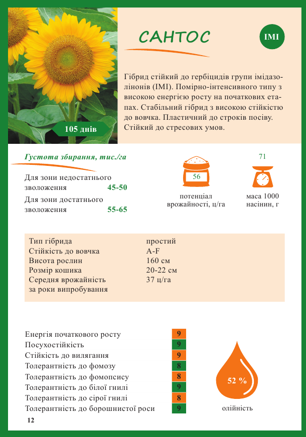 сантос соняшник