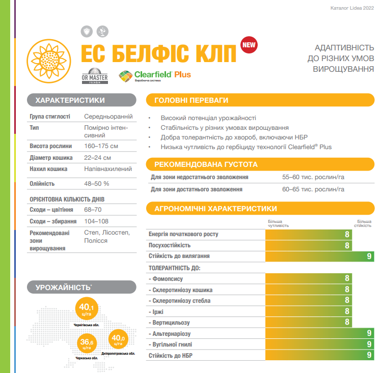 белфіс соняшник